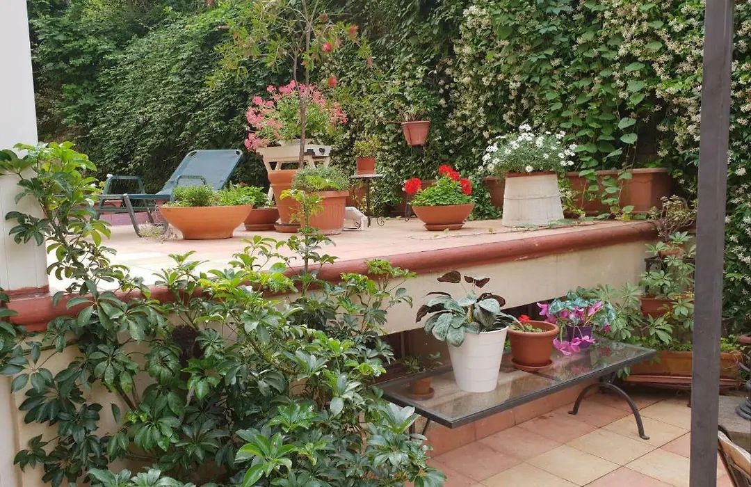 B&B Michelangelo-1