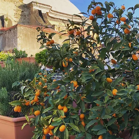 B&B La Terrazza Napoli-3