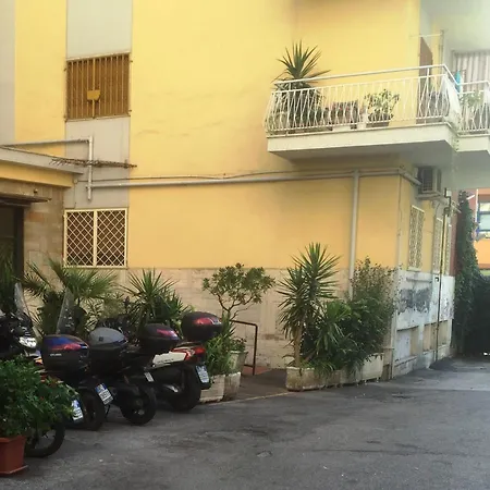 B&B Alexander-3